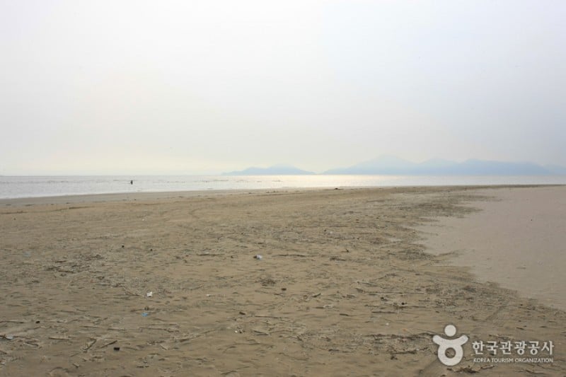 多大浦海水浴场 (1/27)