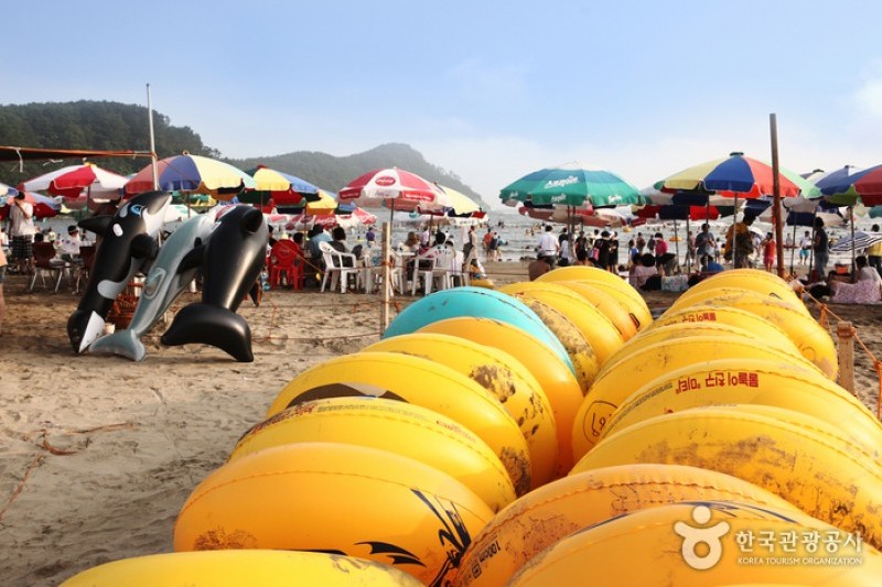 多大浦海水浴场 (20/27)