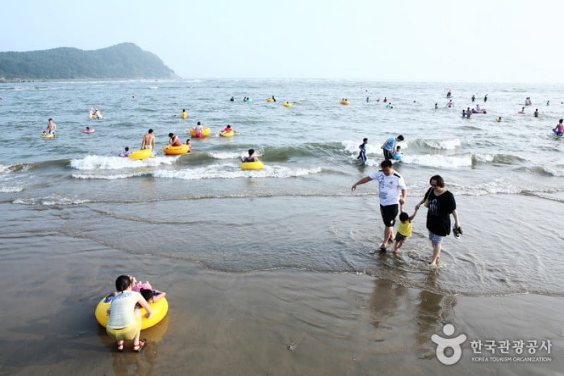 多大浦海水浴场 (22/27)