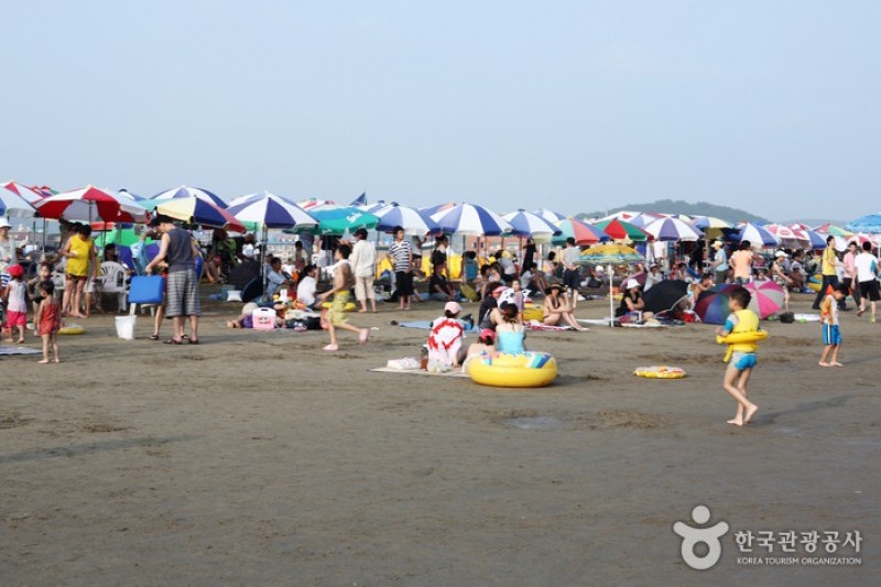 多大浦海水浴场 (23/27)