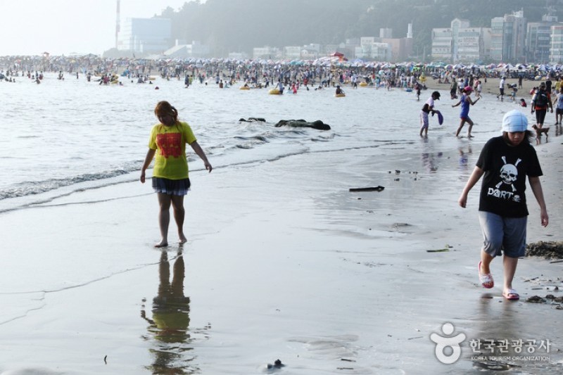 多大浦海水浴场 (25/27)