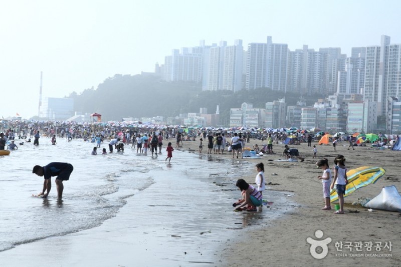 多大浦海水浴场 (26/27)
