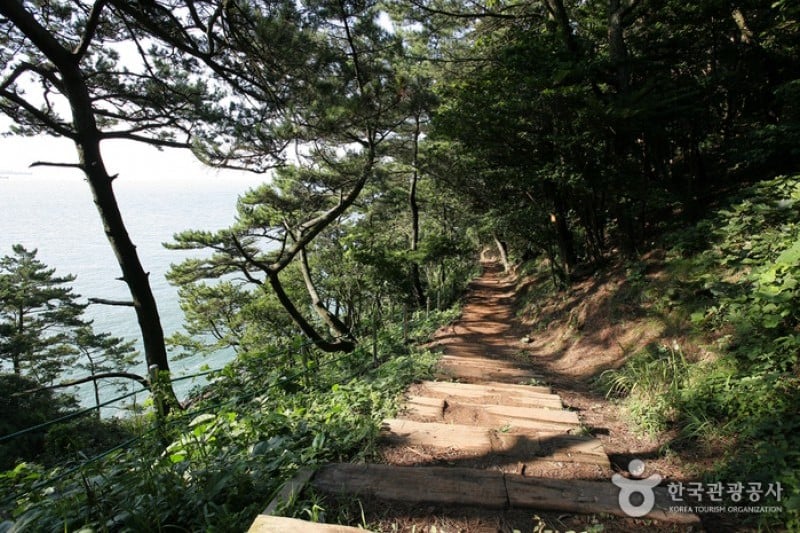 釜山岩南公园 (1/10)