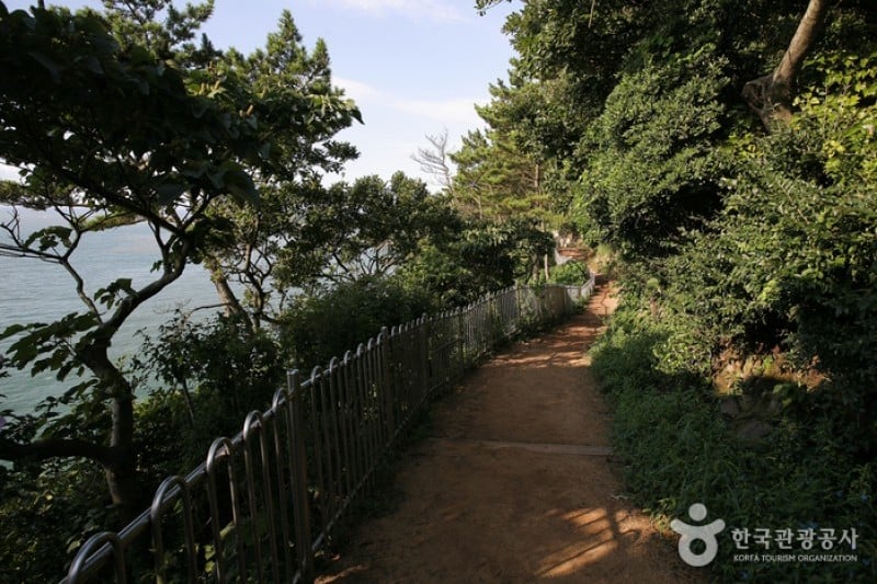 釜山岩南公园 (2/10)