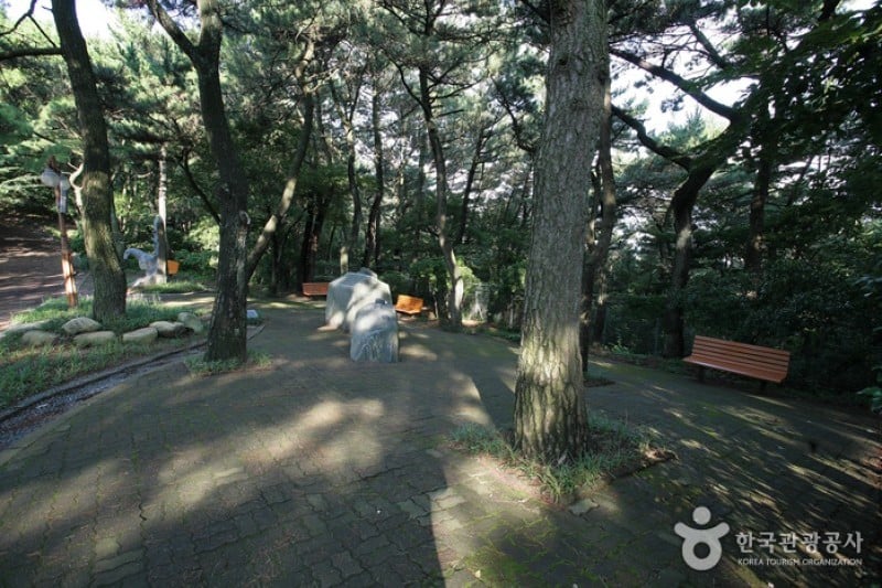 釜山岩南公园 (5/10)
