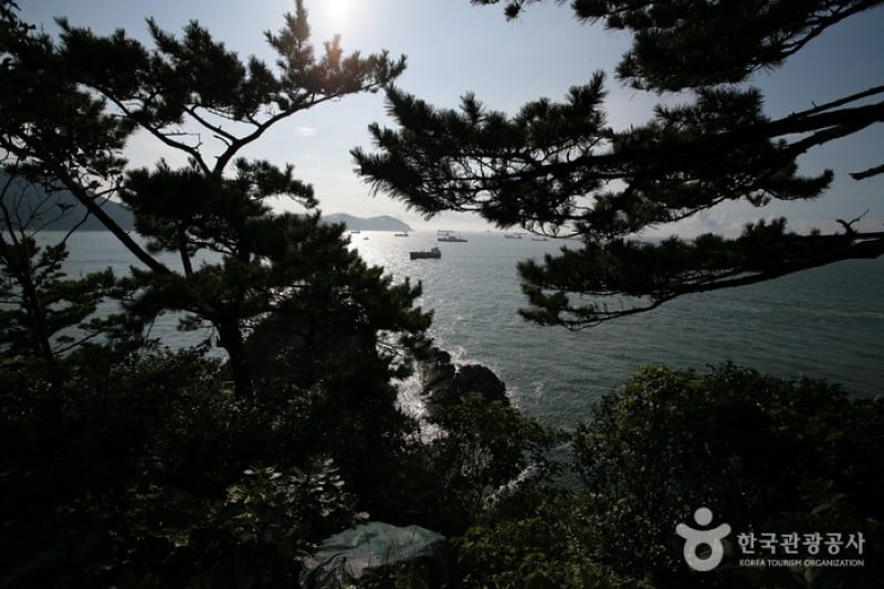釜山岩南公园 (6/10)