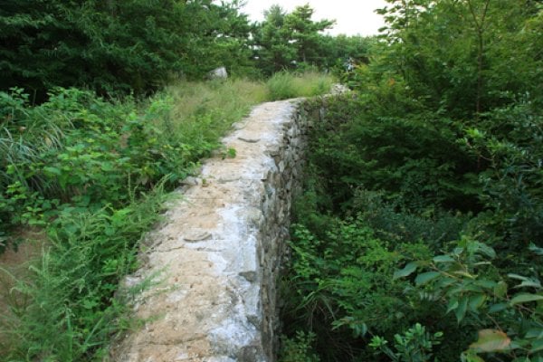 金井山城