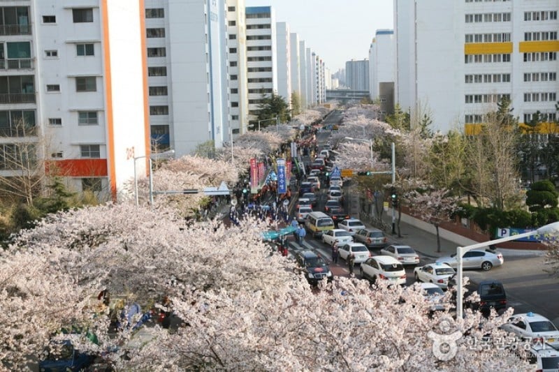 [文化观光庆典] 广安里渔坊节[문화관광축제]광안리어방축제