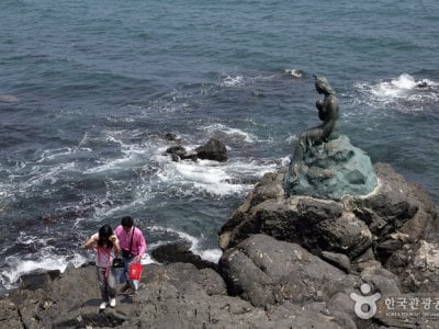海云台冬柏岛
