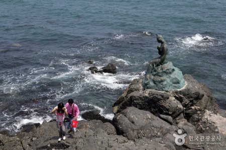海云台冬柏岛