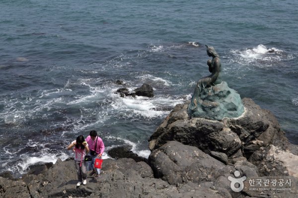 海云台冬柏岛