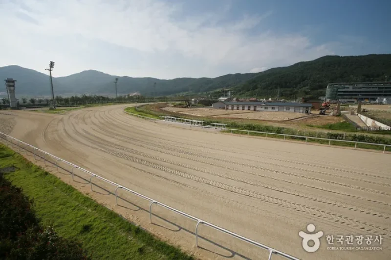 釜山庆南赛马公园 (2/5)