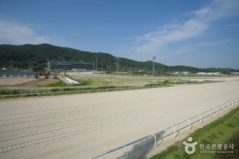 釜山庆南赛马公园 (3/5)