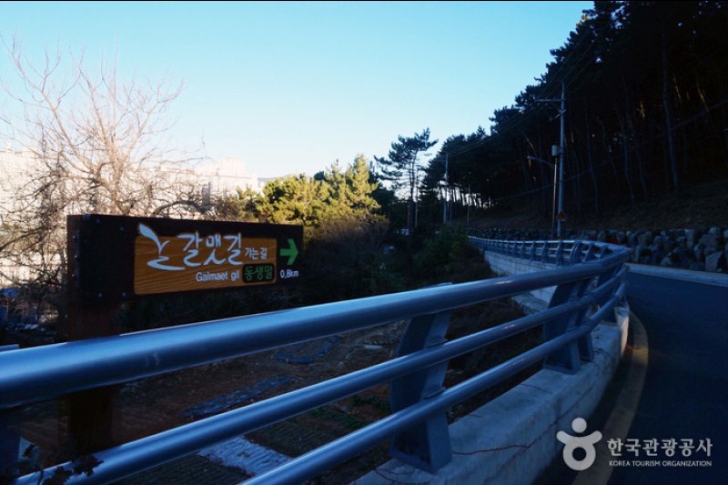 二妓台城市自然公园