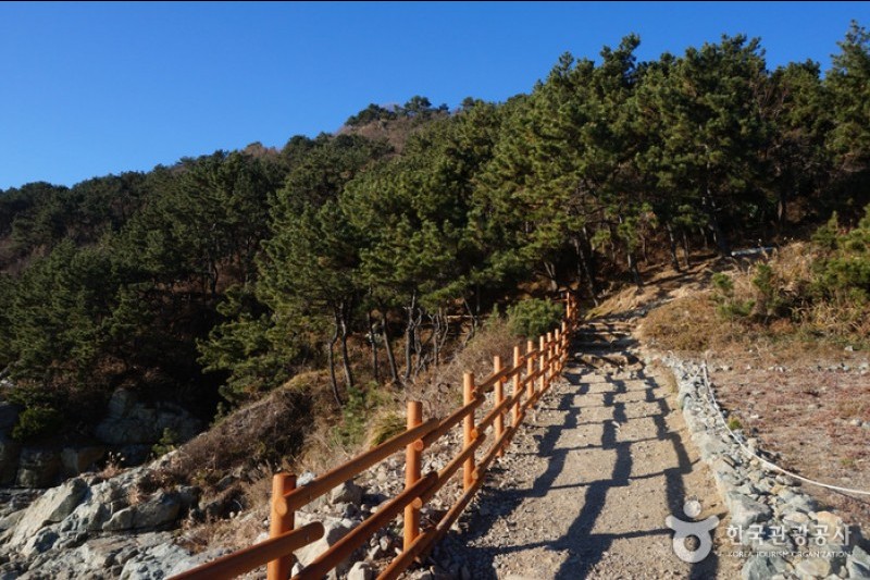 二妓台城市自然公园