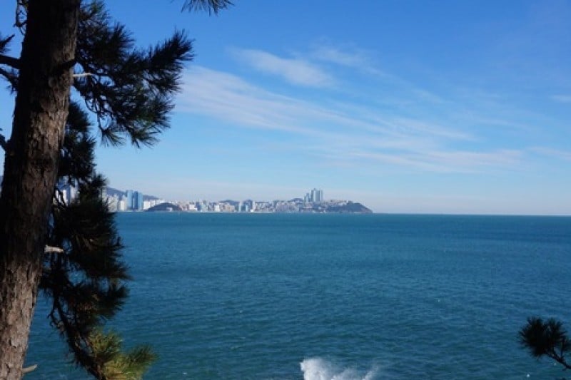 二妓台城市自然公园