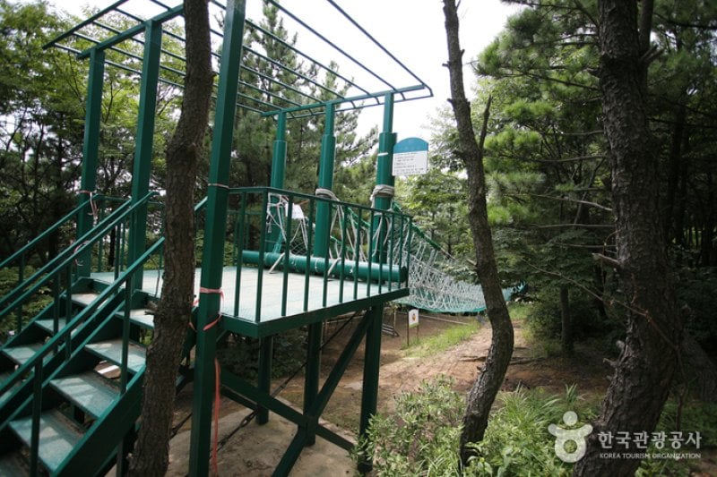 釜山广域市金莲青少年修炼院