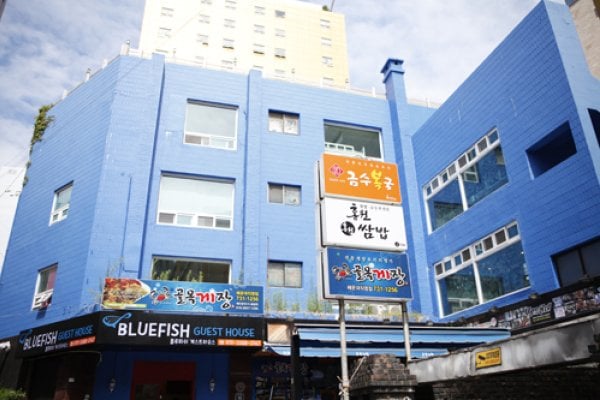 蓝鱼客房旅馆[优秀住宿设施]