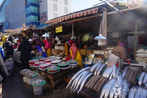 釜山札嘎其市场부산 자갈치시장