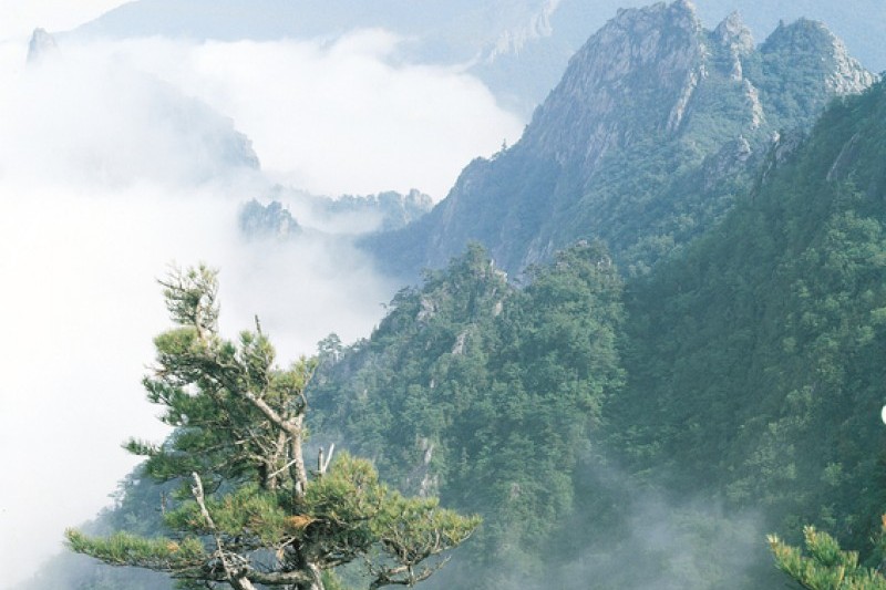 雪岳山国立公园(外雪岳)