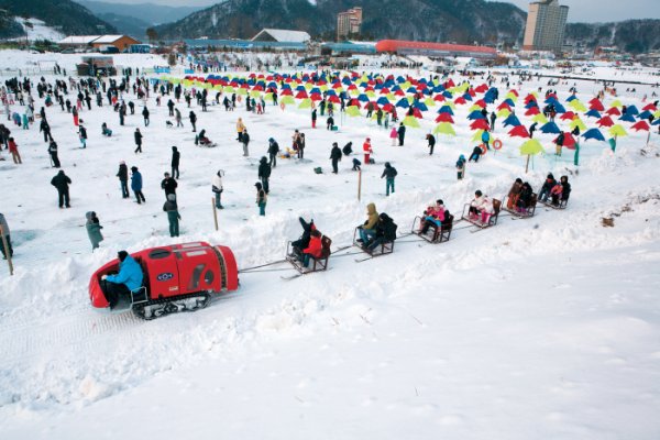 平昌松鱼庆典