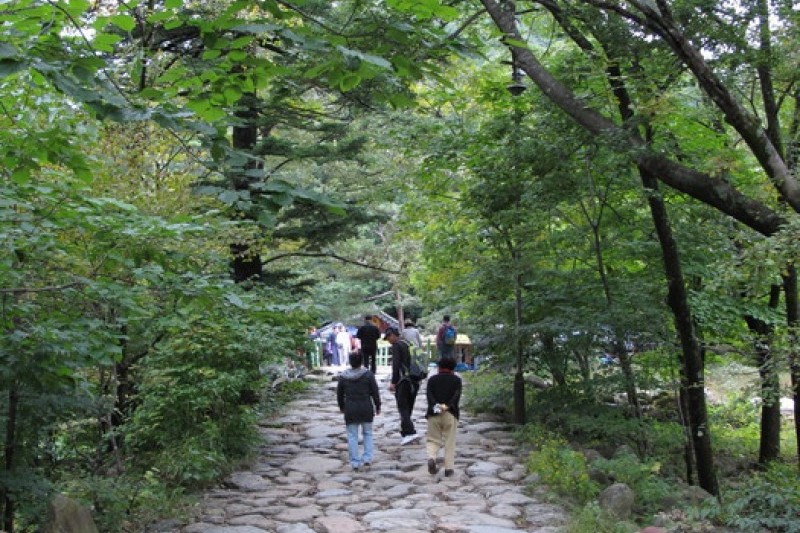 神兴寺(雪岳山)