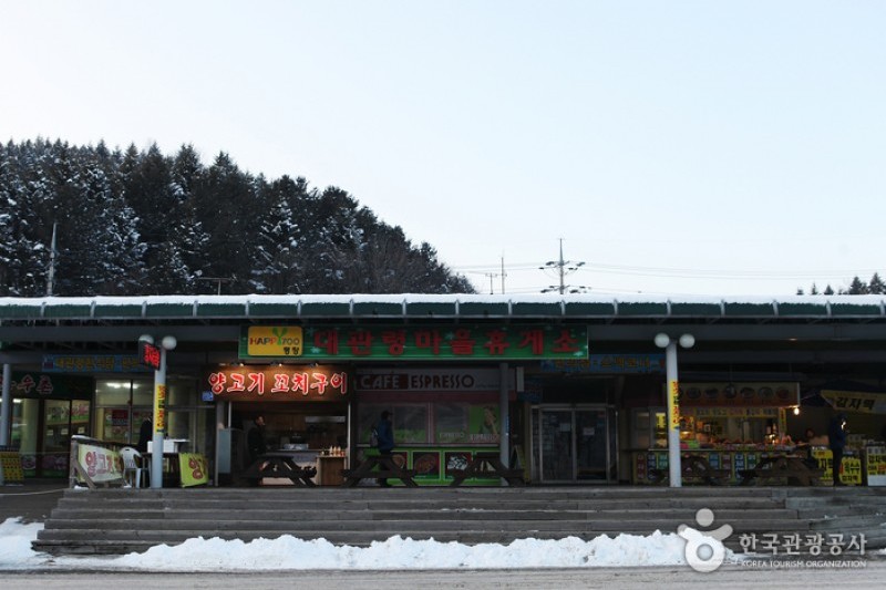 大关岭羊群牧场