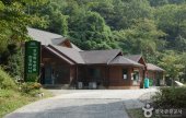 米川谷自然休养林