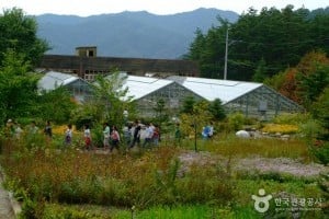 韩国自生植物园