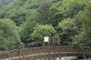 Jipdarigol自然休养林