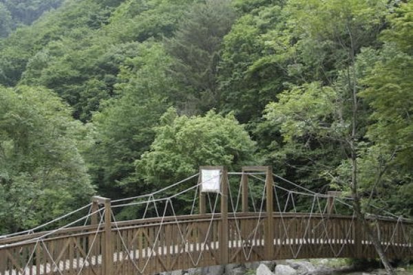 Jipdarigol自然休养林