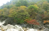 飞仙台