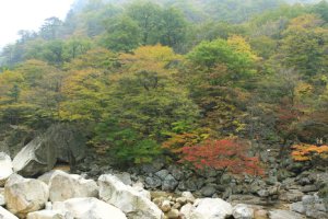 飞仙台