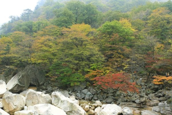 飞仙台