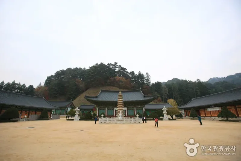 月精寺山寺体验