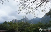 雪岳观光特区