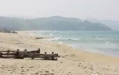 南涯海边