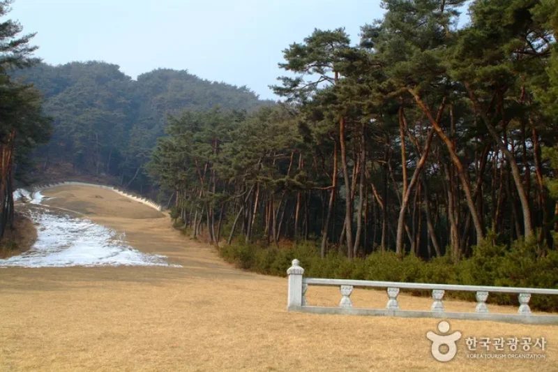 申壮节公墓域 (1/8)