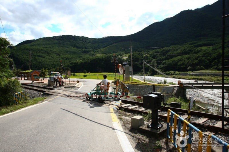 旌善AURAJI铁路自行车(정선 아우라지 레일바이크) (7/14)