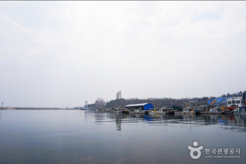 大浦港