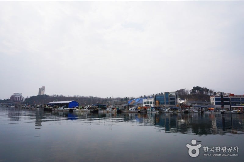 大浦港