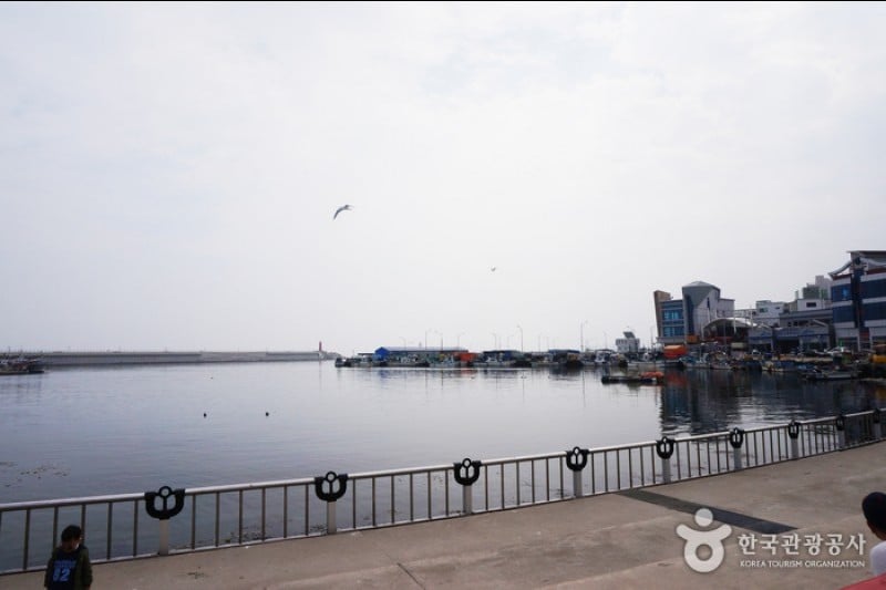 大浦港