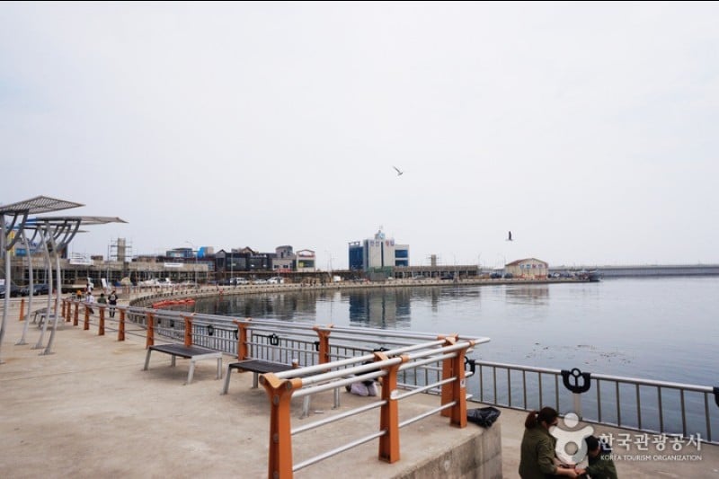 大浦港