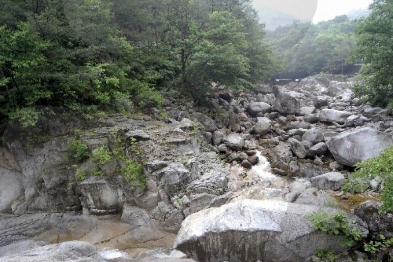 五台山小金刚 (3/4)