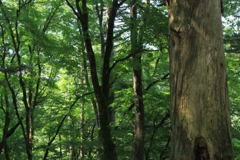月精寺（五台山）