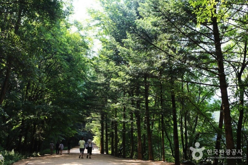 月精寺（五台山）