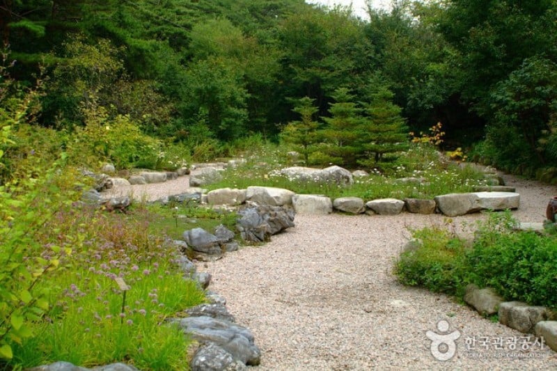 韩国自生植物园