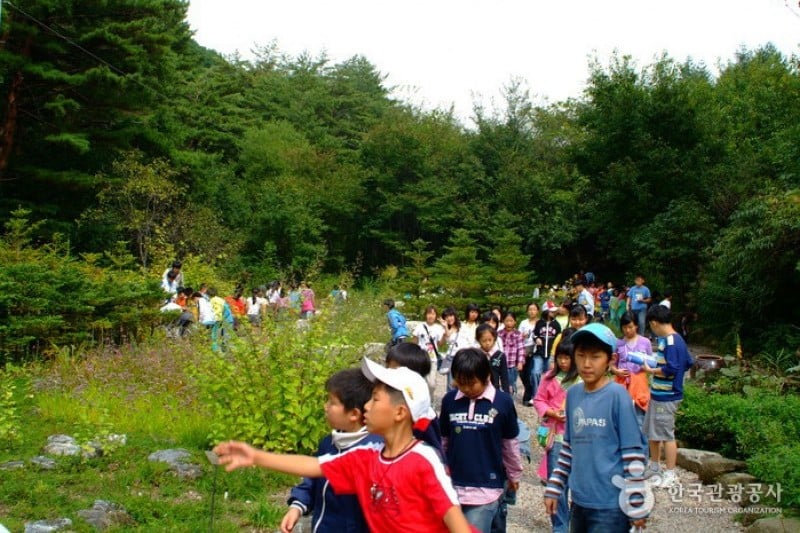 韩国自生植物园
