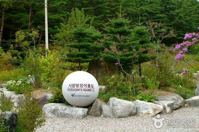 韩国自生植物园