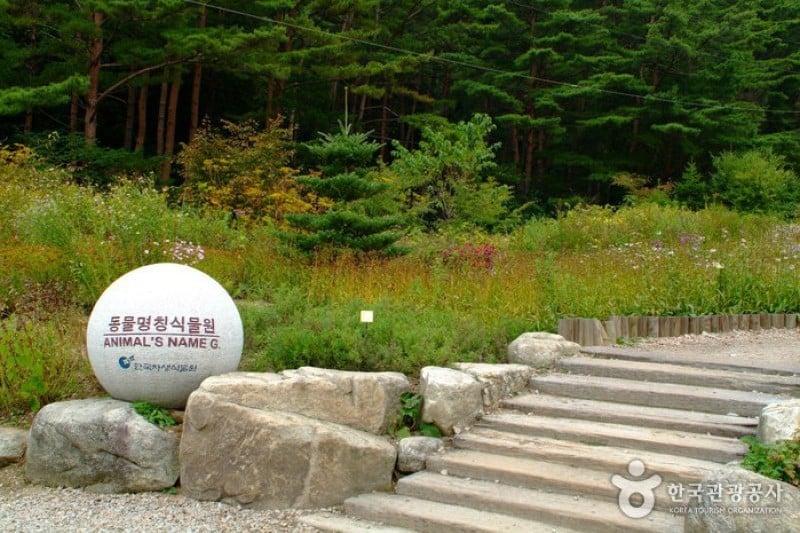 韩国自生植物园